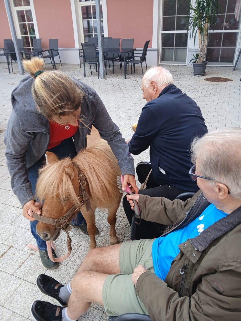 Ponys striegeln